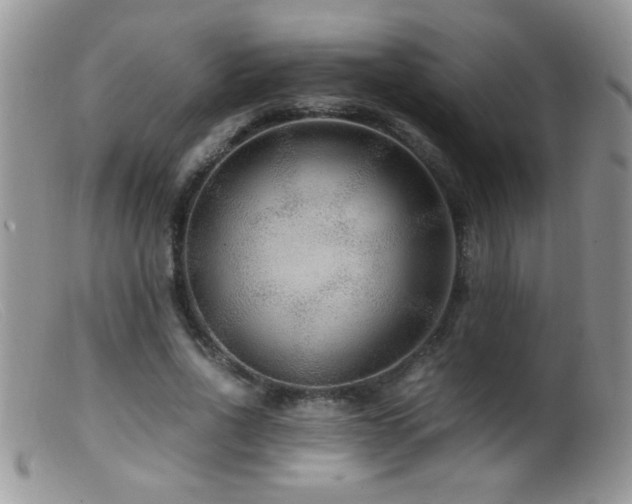 X0000099490734200805151406