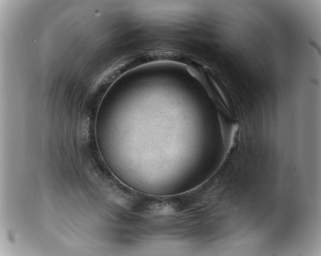 X0000099490735200805151406