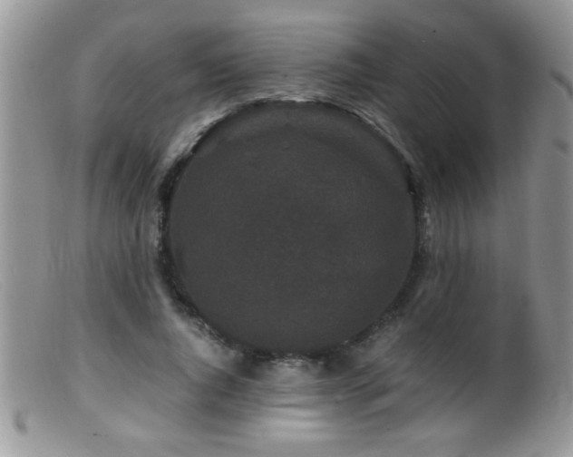 X0000099490736200805151406