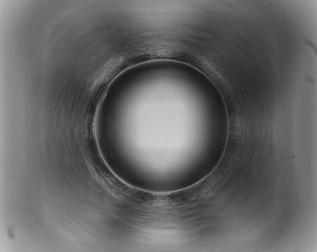 X0000099490738200805151406