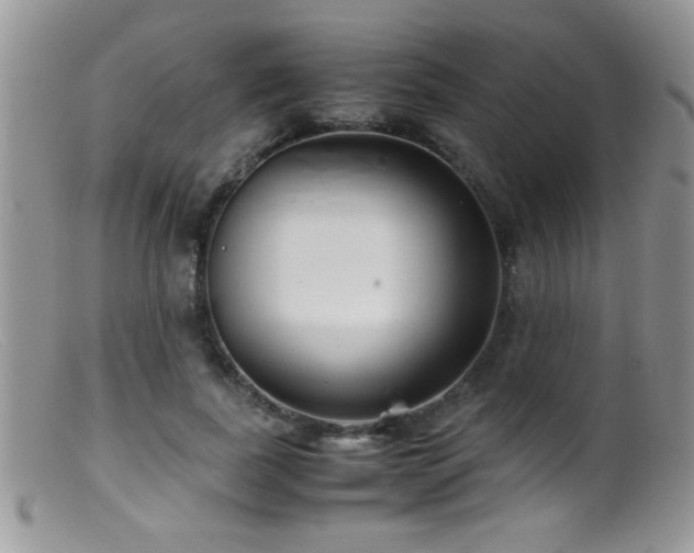 X0000099490739200805151406