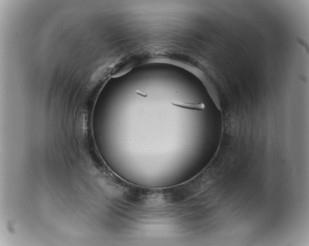 X0000099490740200805151406
