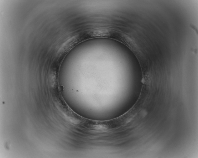 X0000099490741200805151406