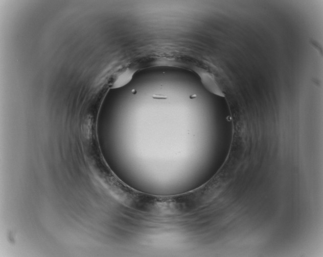 X0000099490744200805151406
