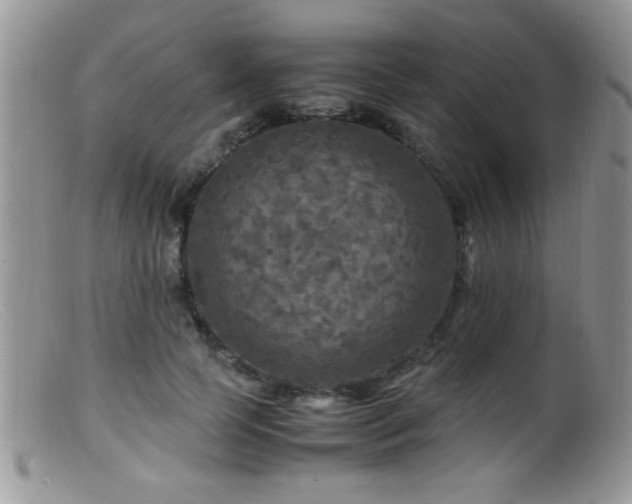 X0000099490745200805151406