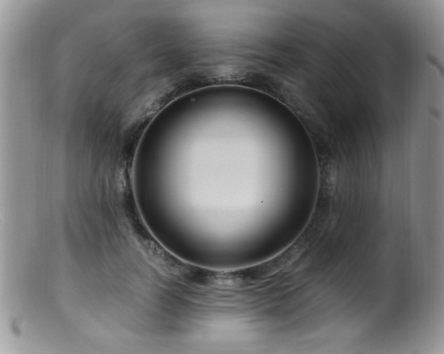 X0000099490746200805151406