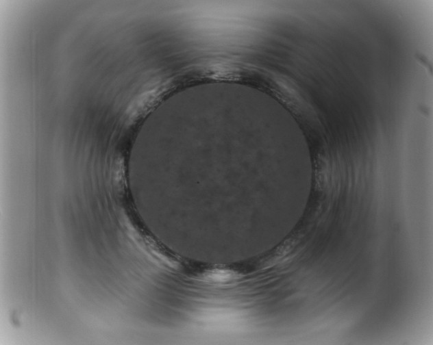 X0000099490748200805151406