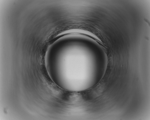 X0000099490750200805151406
