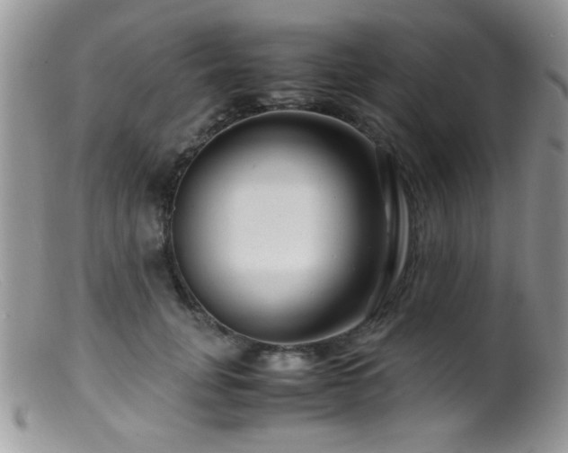 X0000099490751200805151406