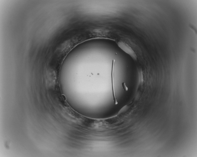 X0000099490752200805151406