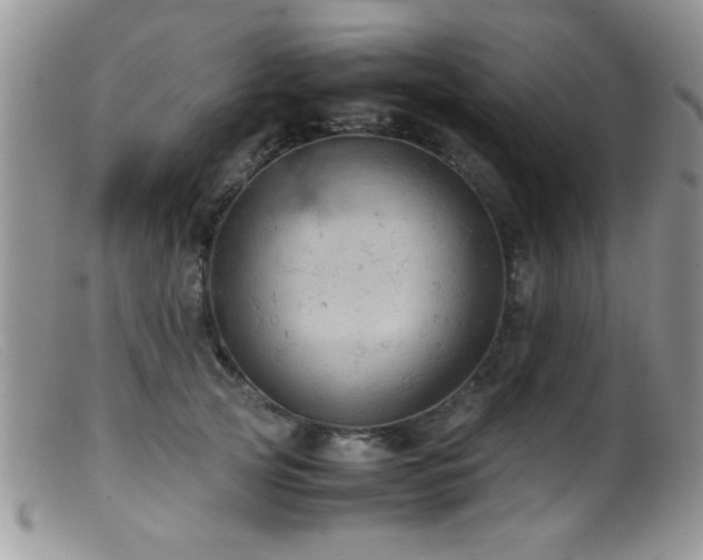 X0000099490753200805151406