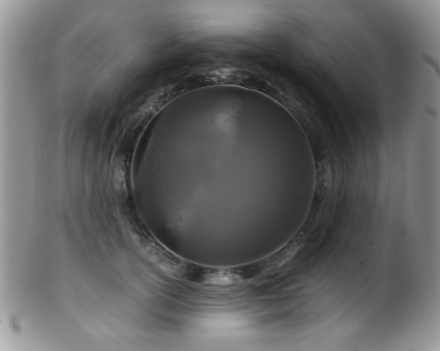 X0000099490754200805151406