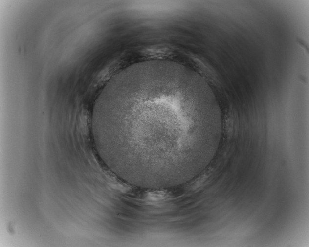X0000099490757200805151406