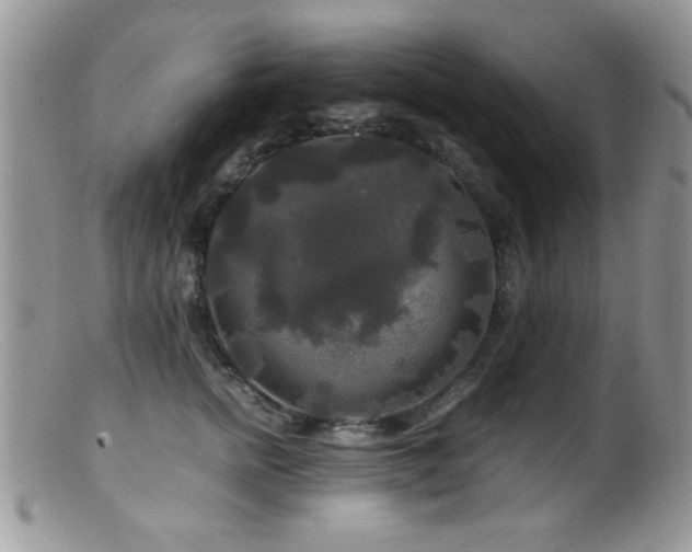 X0000099490758200805151406