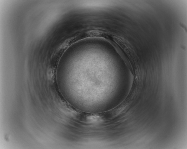 X0000099490759200805151406