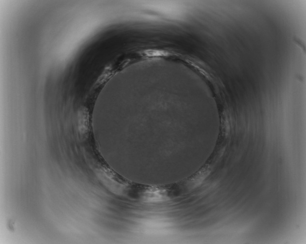 X0000099490760200805151406