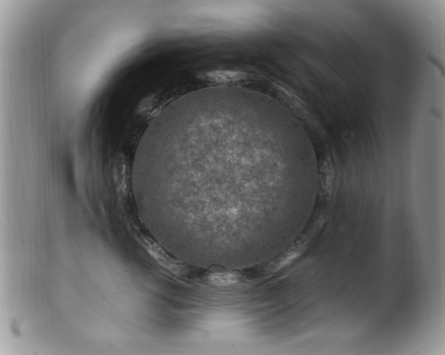 X0000099490762200805151406