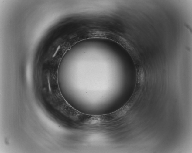 X0000099490764200805151407