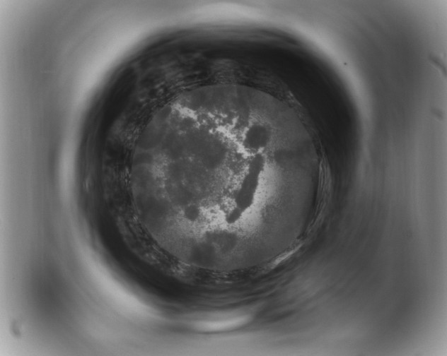X0000099490765200805151407