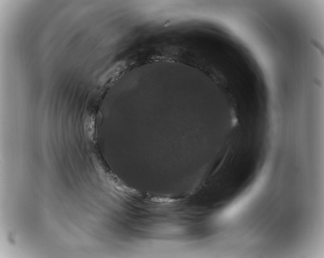 X0000099490767200805151407