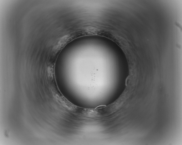 X0000099490768200805151407