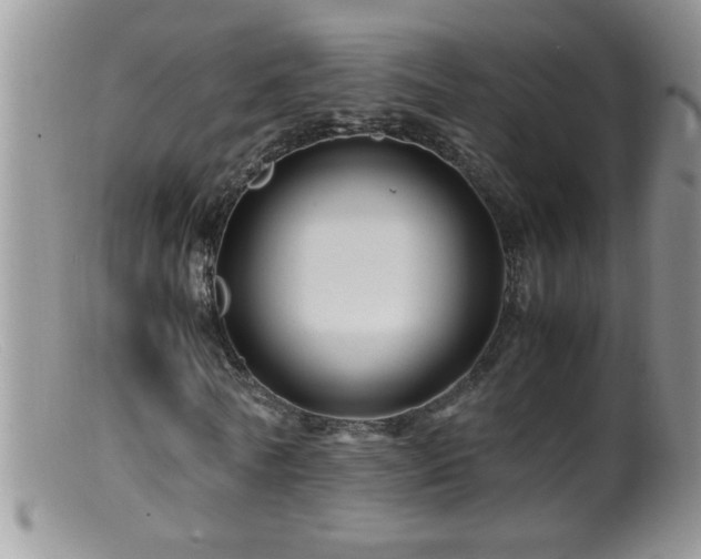 X0000099490770200805151406