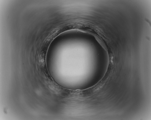 X0000099490771200805151406