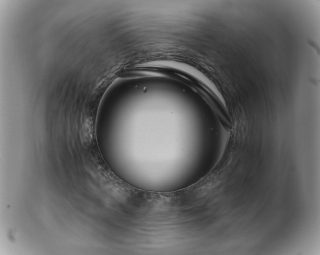 X0000099490772200805151406