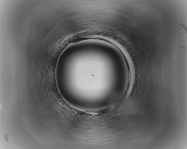 X0000099490773200805151406