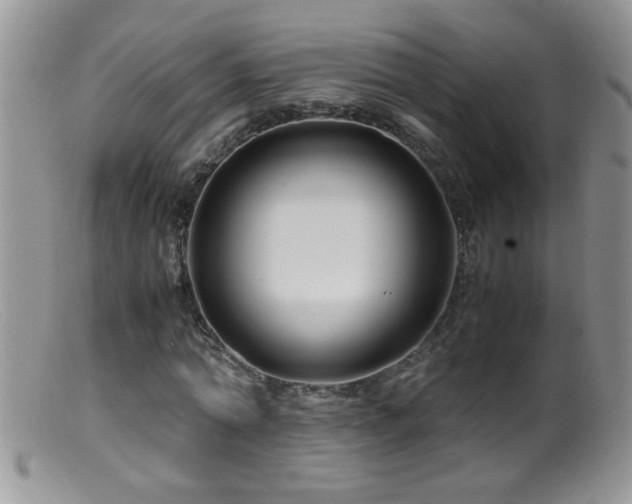 X0000099490774200805151406