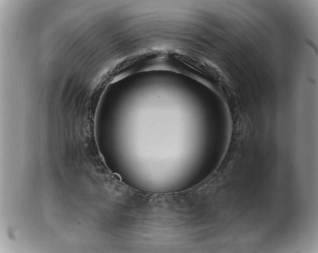 X0000099490776200805151406