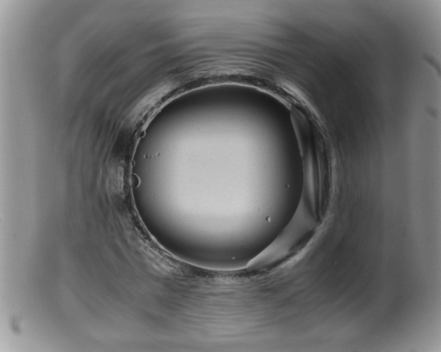 X0000099490777200805151406