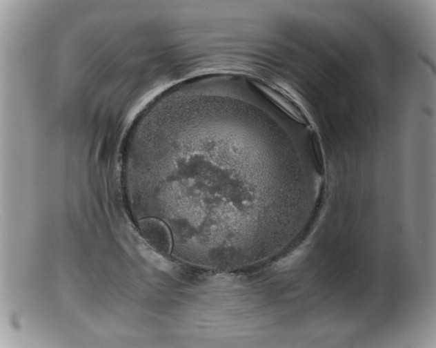 X0000099490779200805151406