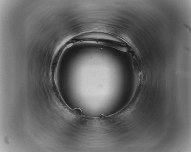 X0000099490780200805151406