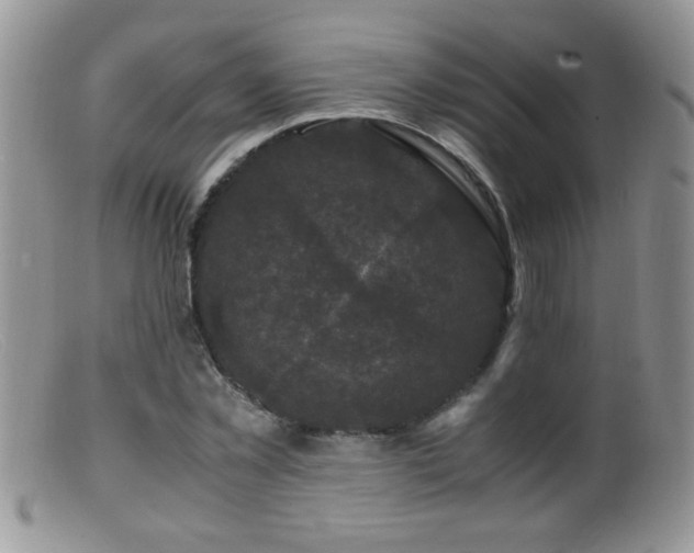 X0000099490781200805151406