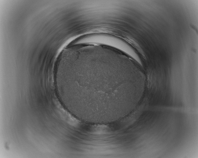 X0000099490784200805151406