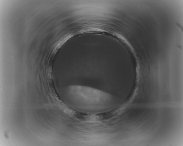 X0000099490785200805151406