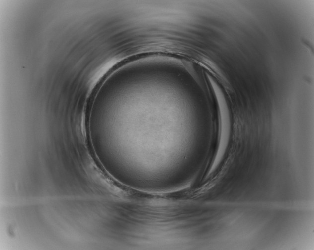 X0000099490788200805151406