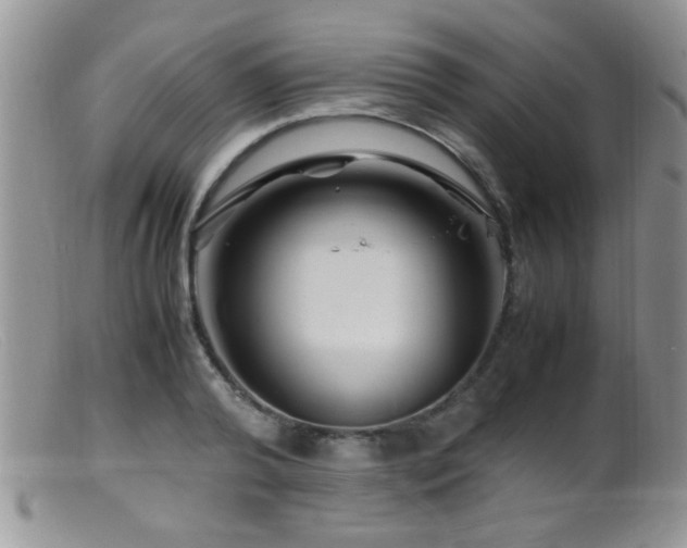 X0000099490792200805151406