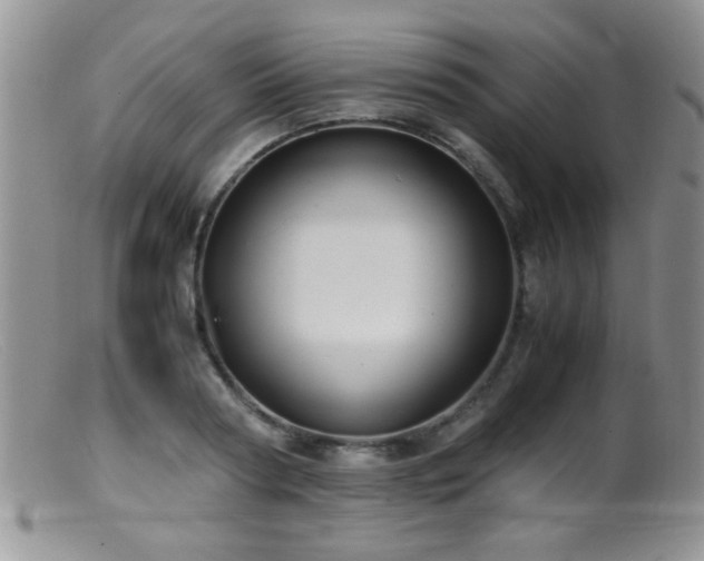 X0000099490794200805151406