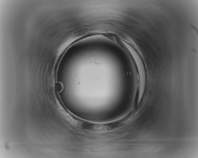 X0000099490795200805151406
