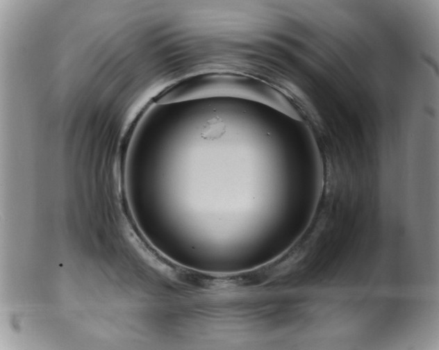 X0000099490796200805151406