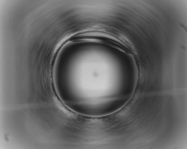 X0000099490800200805151405