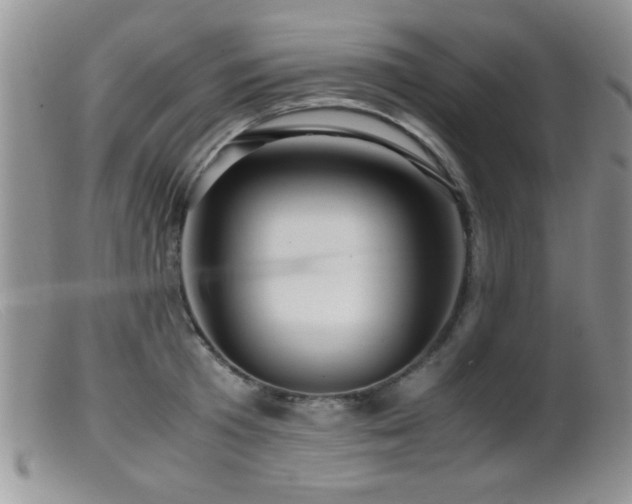 X0000099490801200805151405