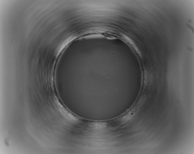 X0000099490802200805151405