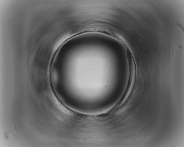 X0000099490803200805151405