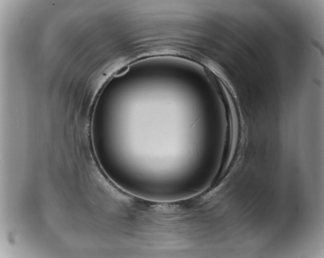 X0000099490805200805151405