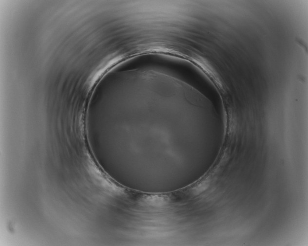 X0000099490806200805151405