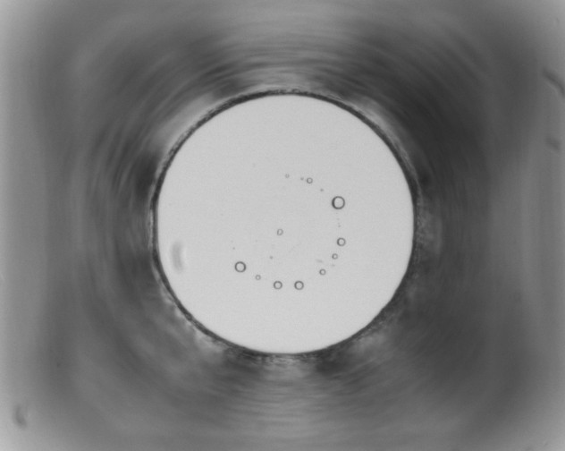 X0000099490807200805151405