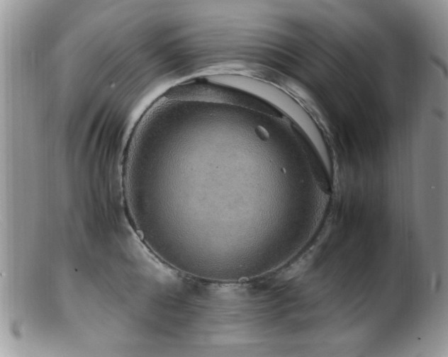 X0000099490808200805151405